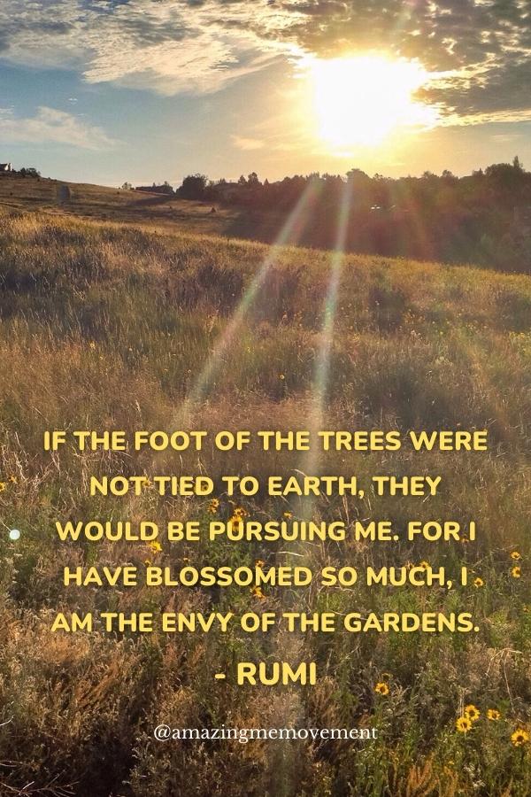 Deep Rumi Quotes on Life That'll Awaken Your Soul